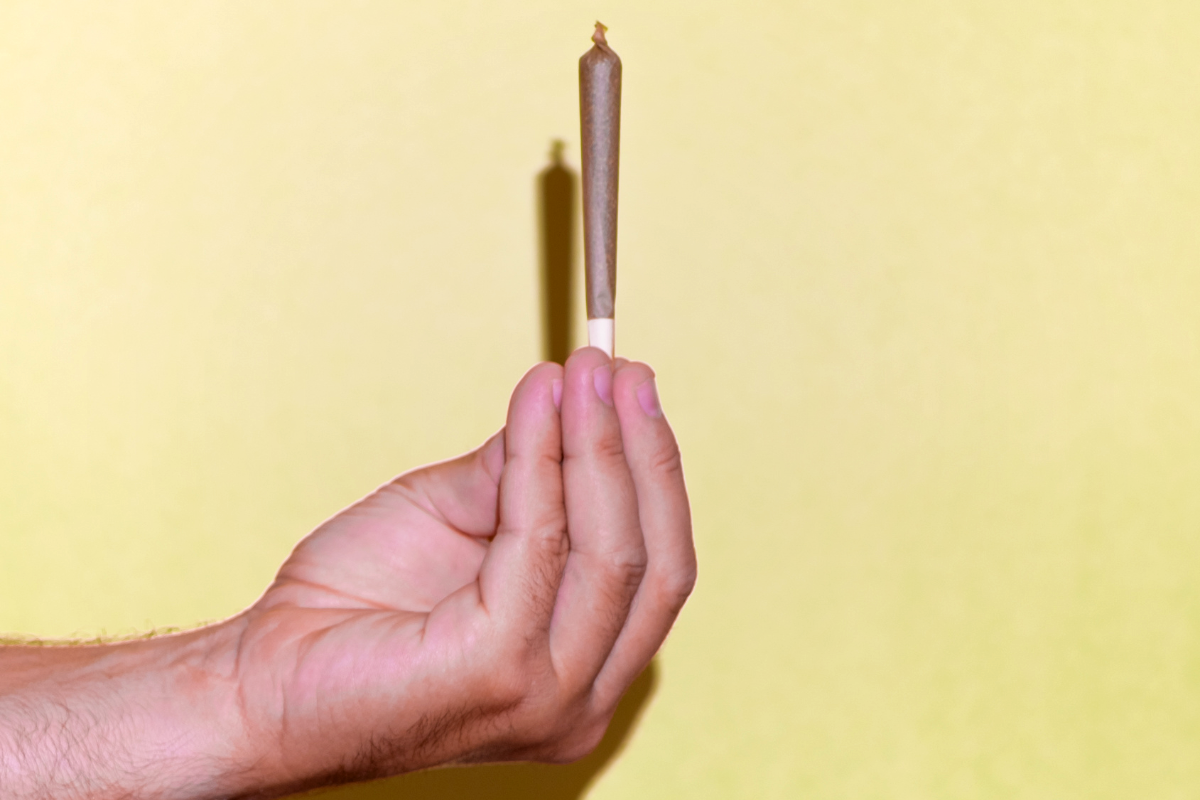 Man's hand holding a marijuana rolled cigarette in his hand against a yellow background.