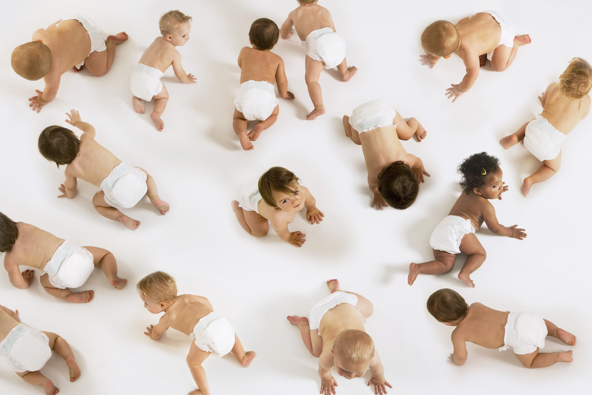 A large group of babies seen from above on a white background.