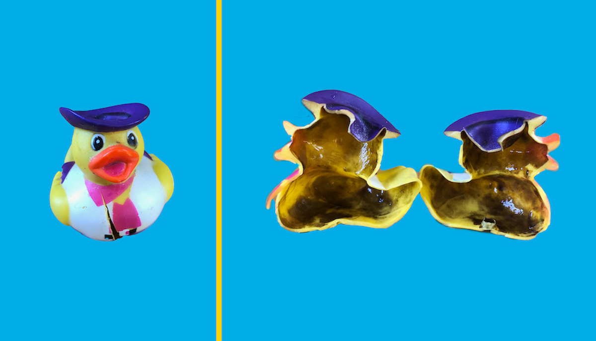 A rubber duck is seen on a split screen blue background. On the left side, the duck is seen head-on. On the right side, the duck is cut open to reveal bath mold.