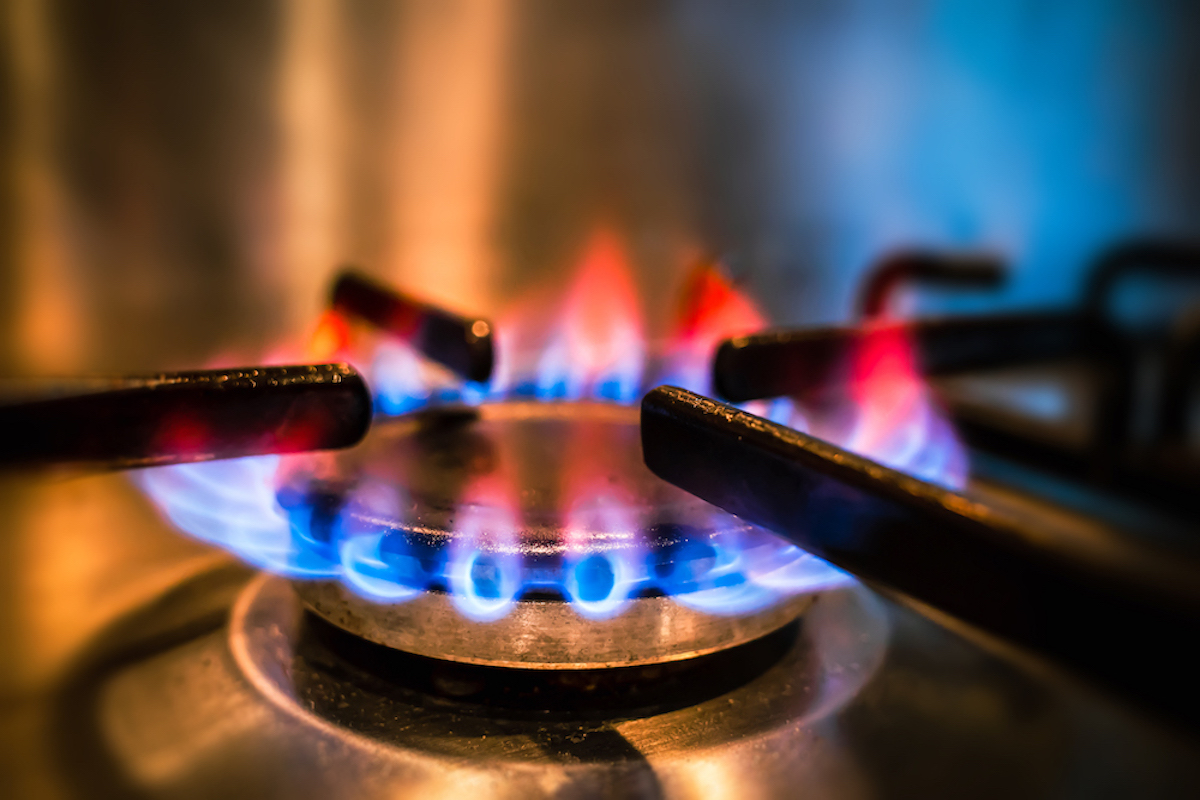 Flames from a gas burner are pictured close-up.