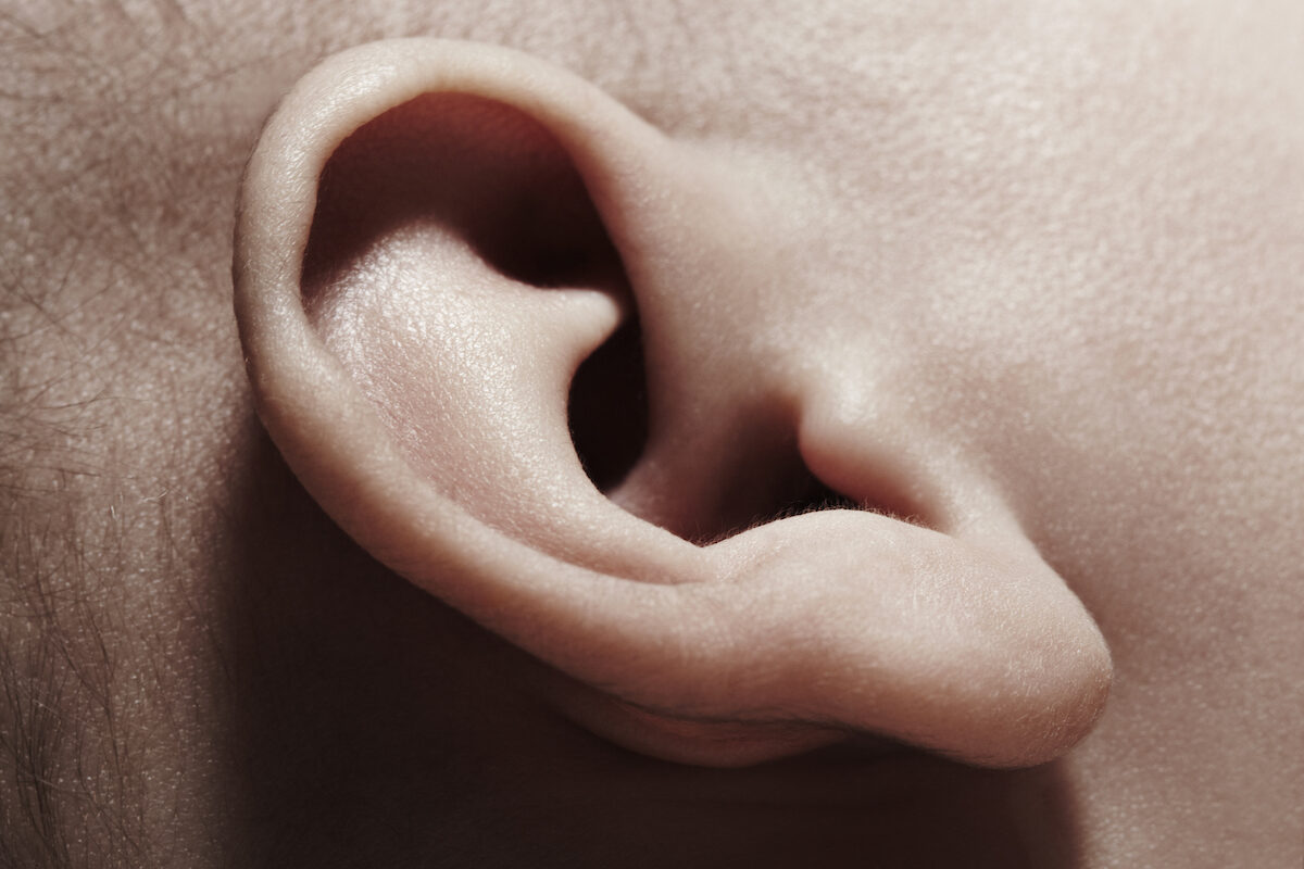 Close up of a baby's ear.