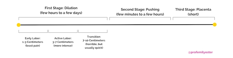 A timeline showing the stages of labor and how long they last.