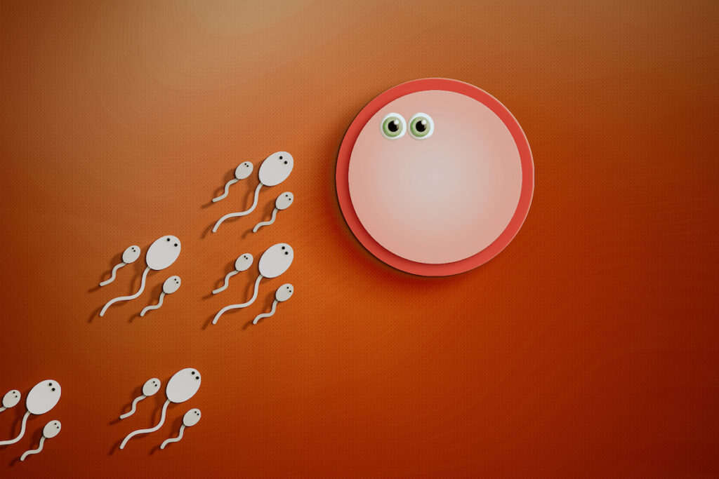Cartoon sperm cells swim toward a cartoon egg on an orange background.