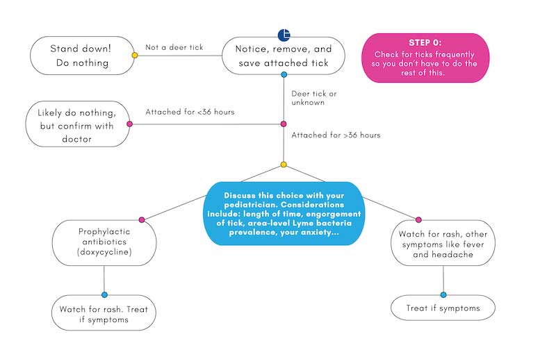 A decision tree for what to do if you notice a tick on your child.