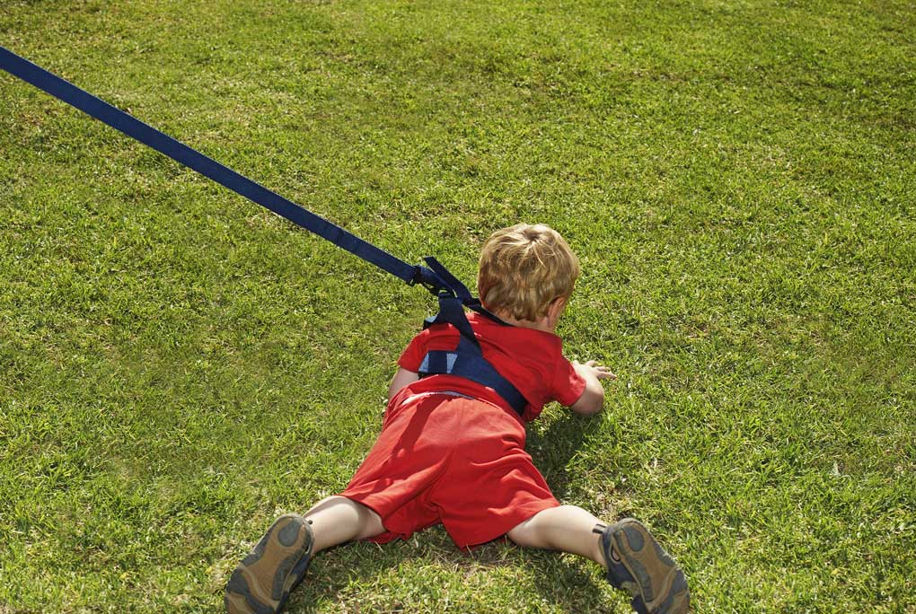 A child in a red outfit sprawls on the grass while wearing a child safety harness.