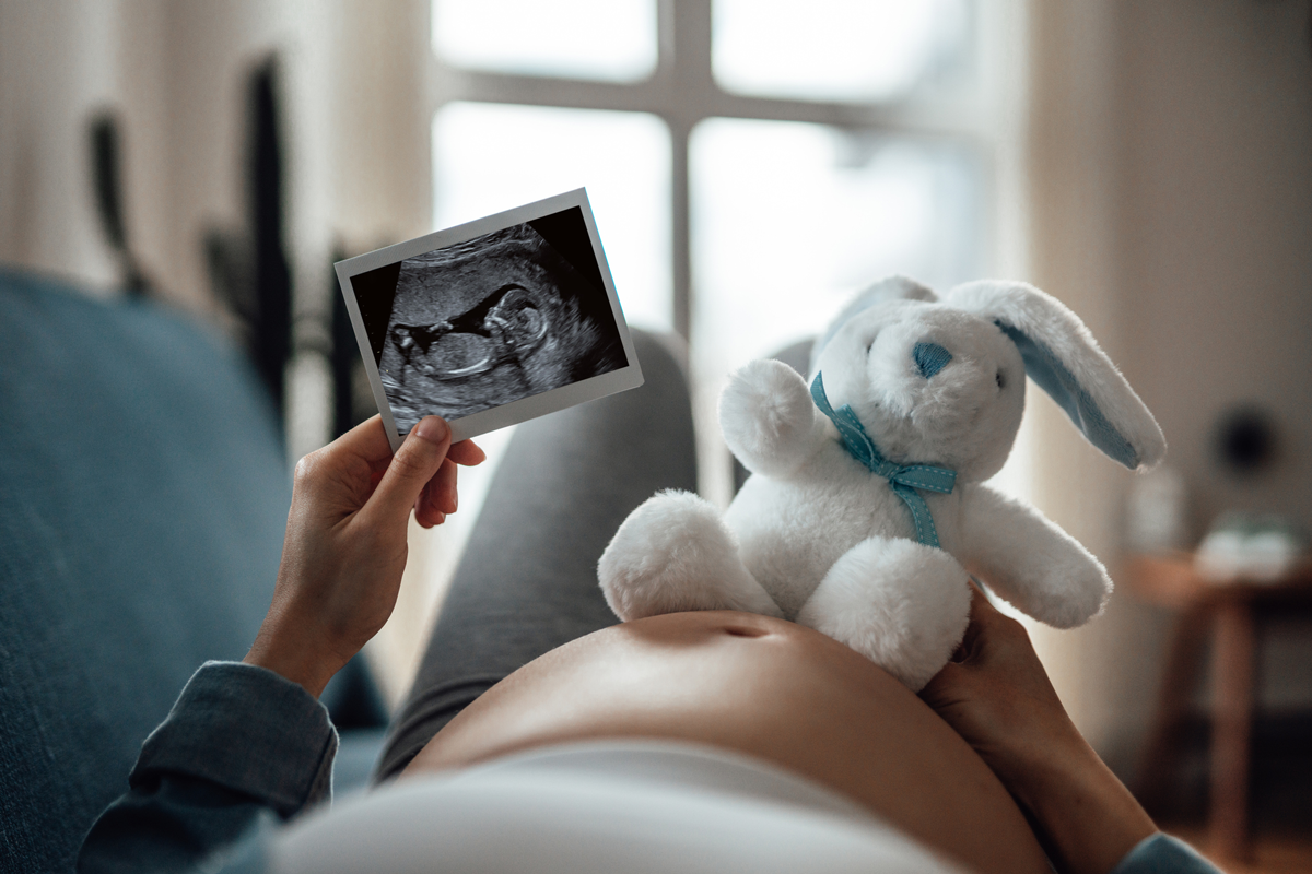 Personal view from a pregnant woman of her stomach from above. She is holding a stuffed rabbit and ultrasound.