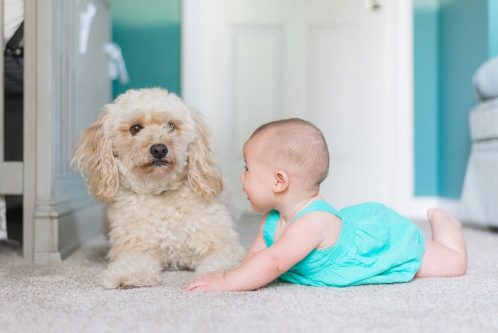 A baby plays on their tummy next to a dog.
