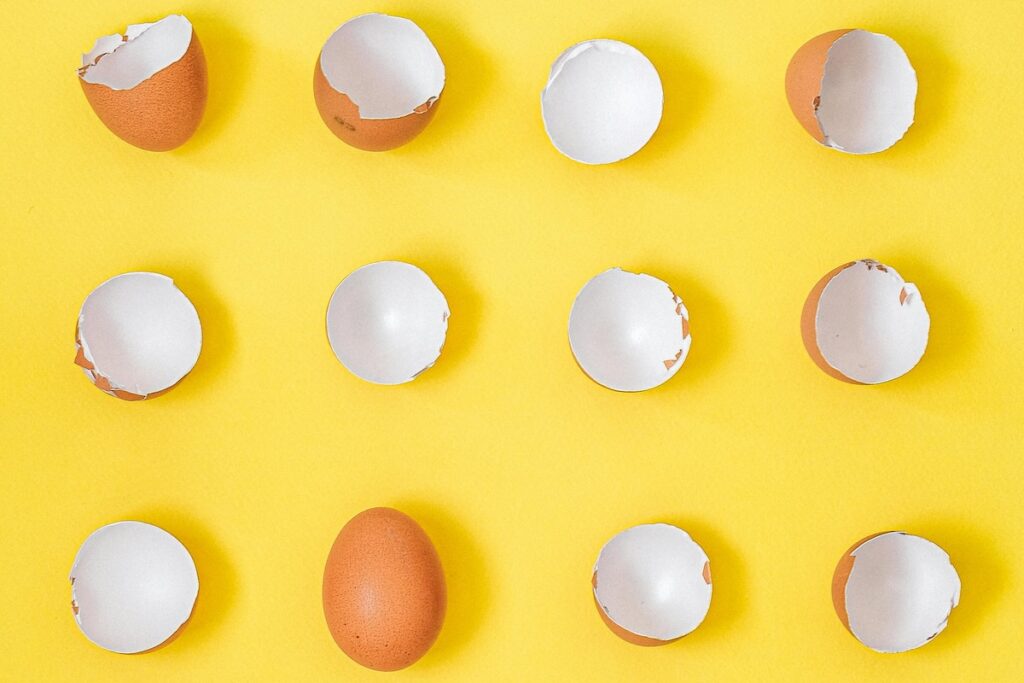 Eggs shells and one whole egg on a yellow background