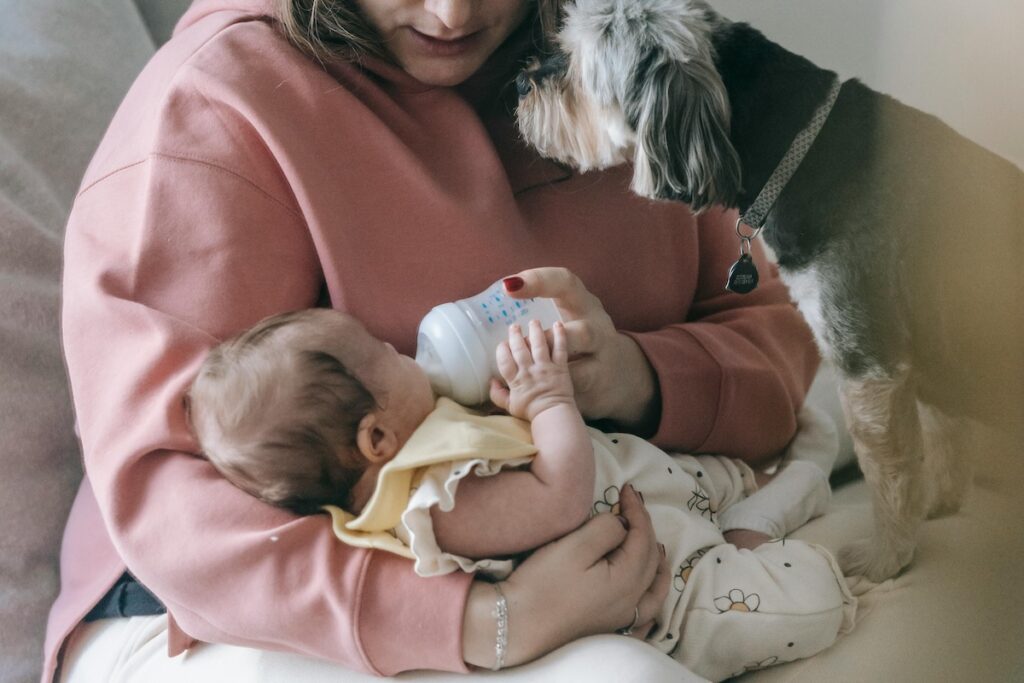 A parent trying to feed the baby with the feeder