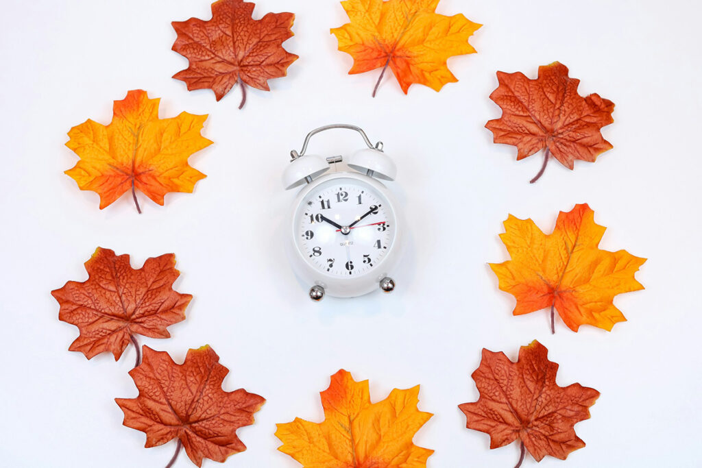 golden autumn trees place in a circle around a clock