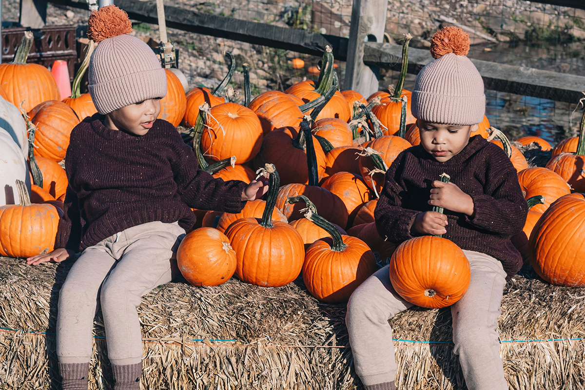 two kids sitting in winter clothes and holding pumpkins