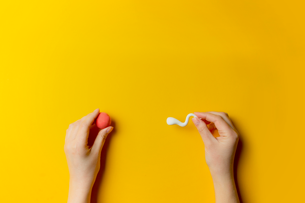 Hands holding models of sperm and a ovum