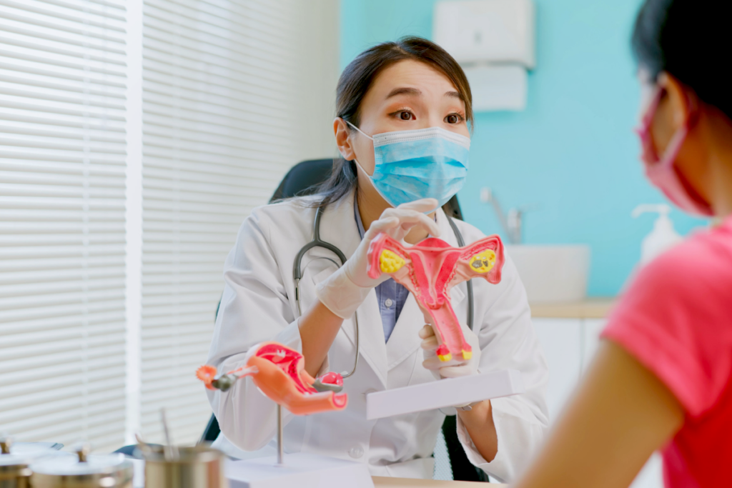 Doctor showing the female reproductive model to a patient