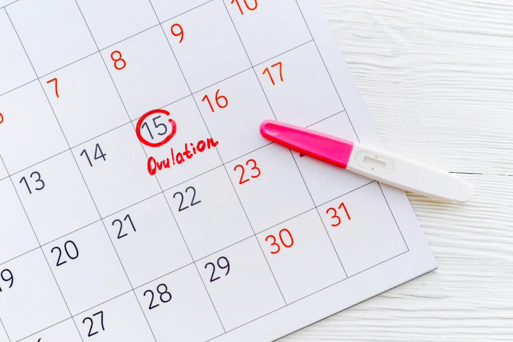 A calender wherethe date 15 is circled in red and marked Ovulation and a pregnancy strip