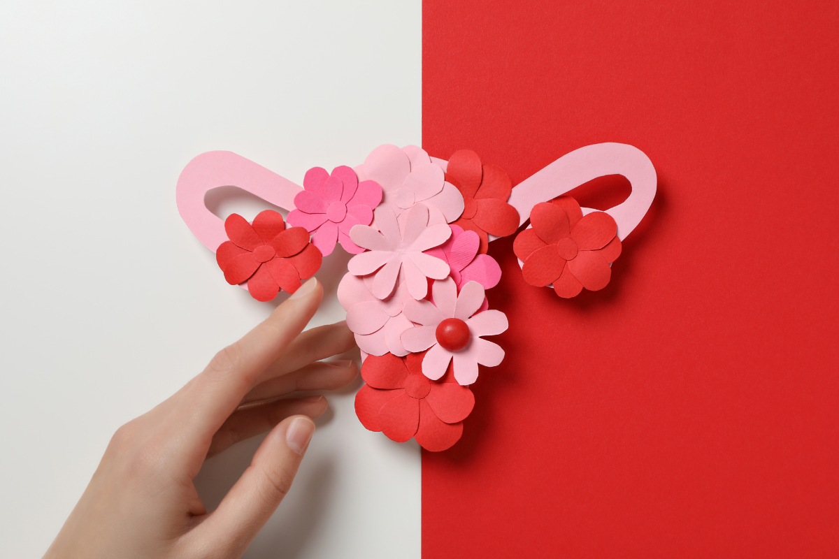 Paper cut of female reproductive system.