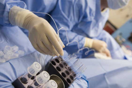 A doctor storing the retrieved eggs
