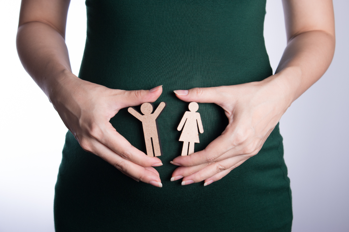 A person holding small male and female cut-outs in front of her stomach.
